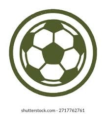 王建民在 2006 年对阵老虎队投出完封胜，成为台湾首位在大联盟投出完封的投手